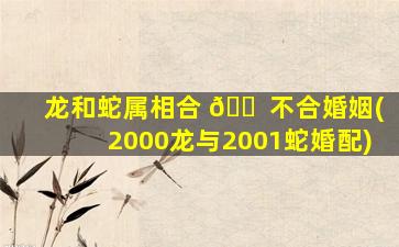 龙和蛇属相合 🐠 不合婚姻(2000龙与2001蛇婚配)